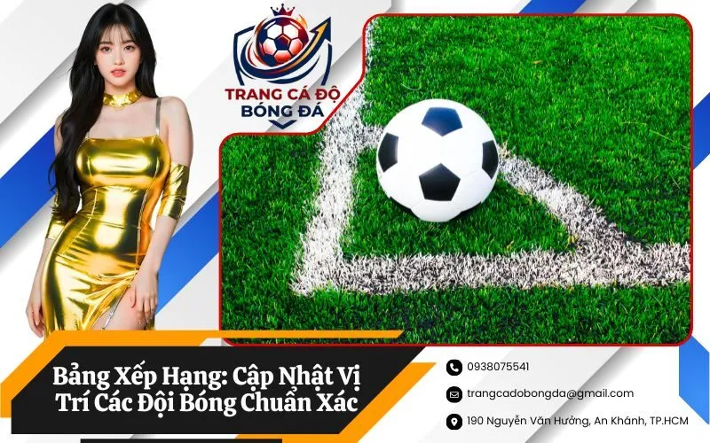 Bảng Xếp Hạng: Cập Nhật Vị Trí Các Đội Bóng Chuẩn Xác