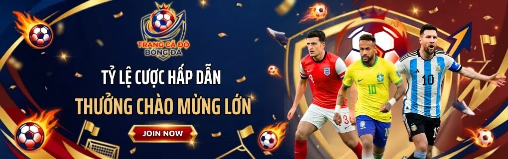 banner cá độ bóng đá