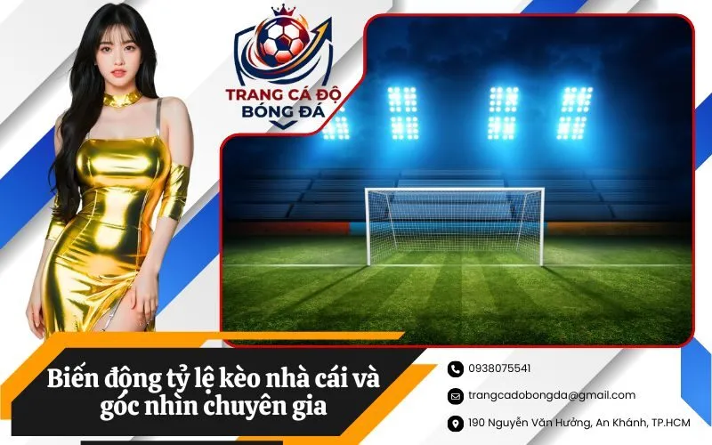 Biến động tỷ lệ kèo nhà cái và góc nhìn chuyên gia