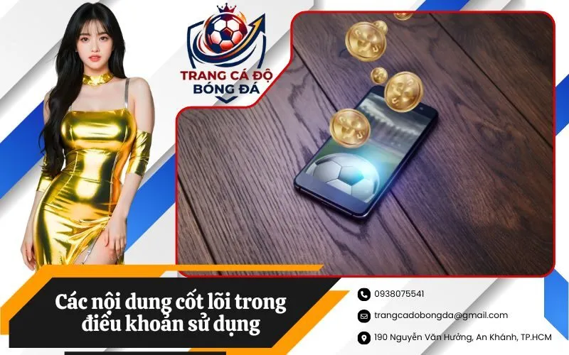 Các nội dung cốt lõi trong điều khoản sử dụng