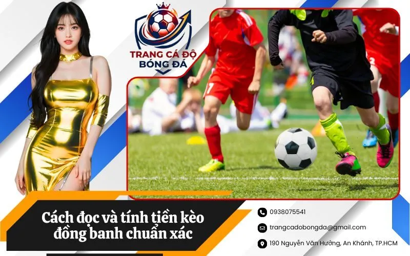 Cách đọc và tính tiền kèo đồng banh chuẩn xác