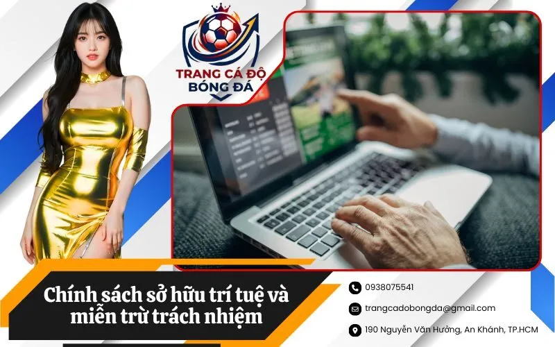 Chính sách sở hữu trí tuệ và miễn trừ trách nhiệm