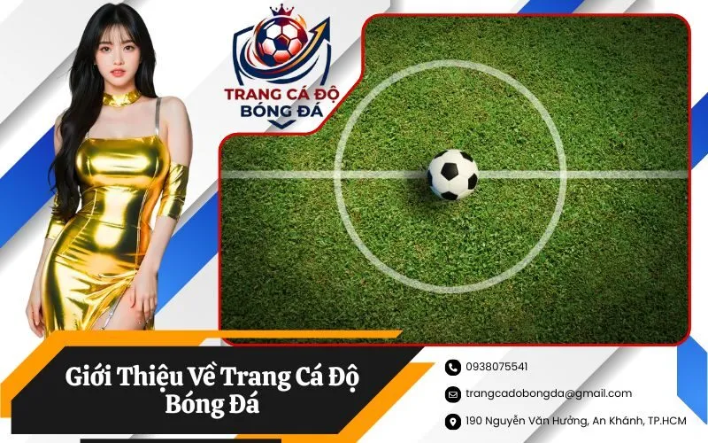 Giới Thiệu Về Trang Cá Độ Bóng Đá