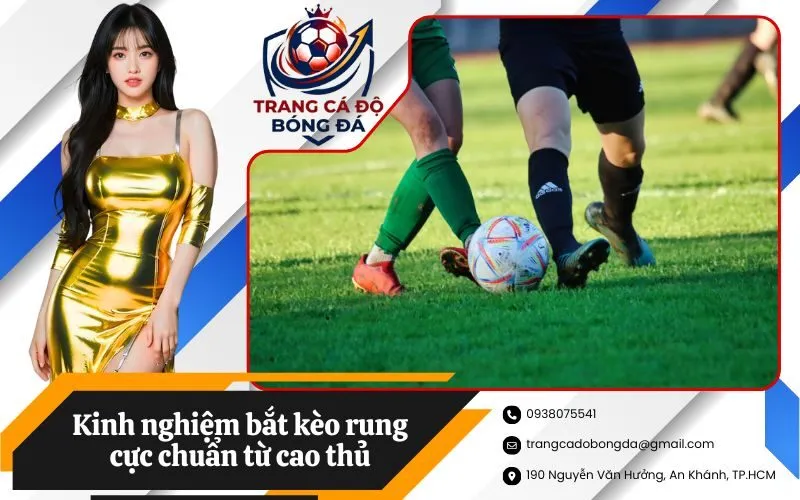 Kinh nghiệm bắt kèo rung cực chuẩn từ cao thủ