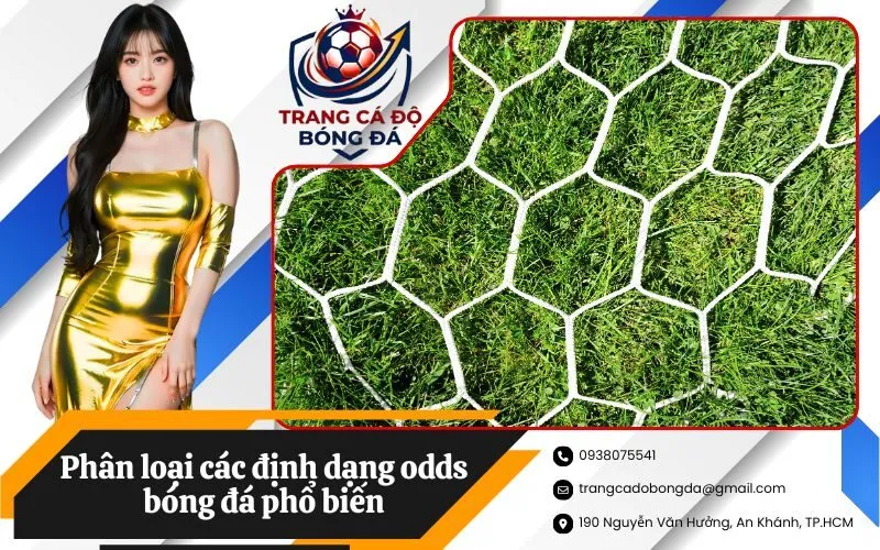 Phân loại các định dạng odds bóng đá phổ biến