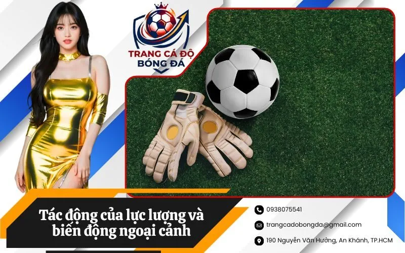 Tác động của lực lượng và biến động ngoại cảnh