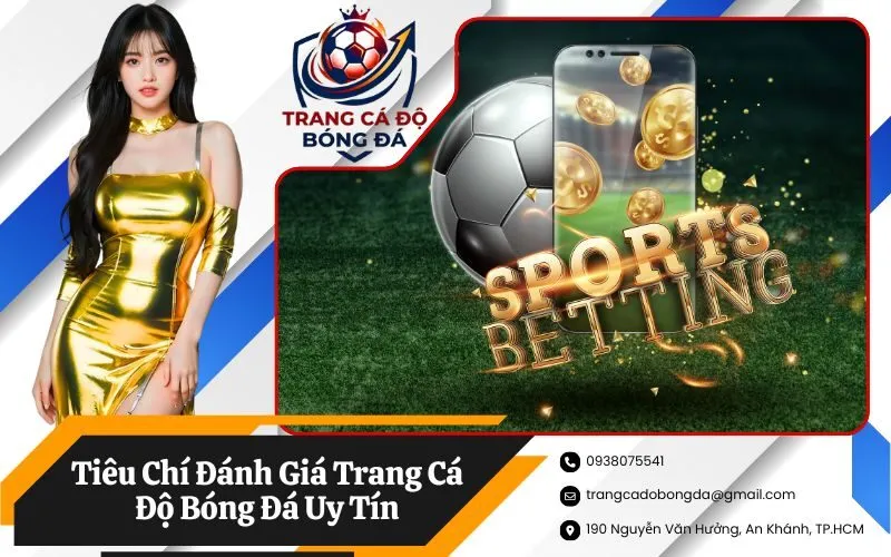 Tiêu Chí Đánh Giá Trang Cá Độ Bóng Đá Uy Tín