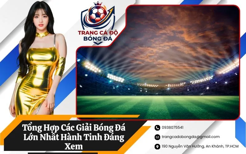 Tổng Hợp Các Giải Bóng Đá Lớn Nhất Hành Tinh Đáng Xem